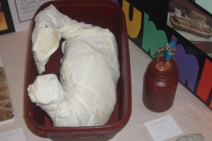 The final mummified chicken in it's coffin.  Note the canopic jar next to it